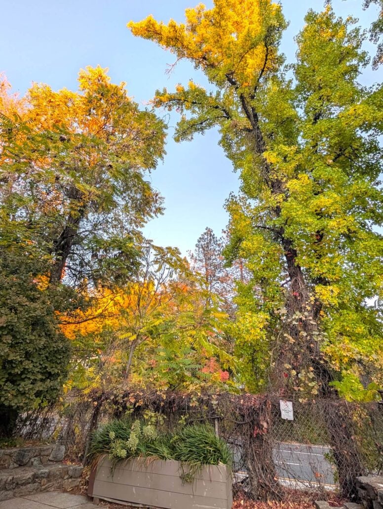 Nevada City