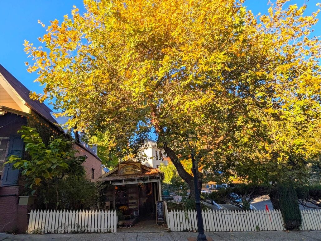 Nevada City