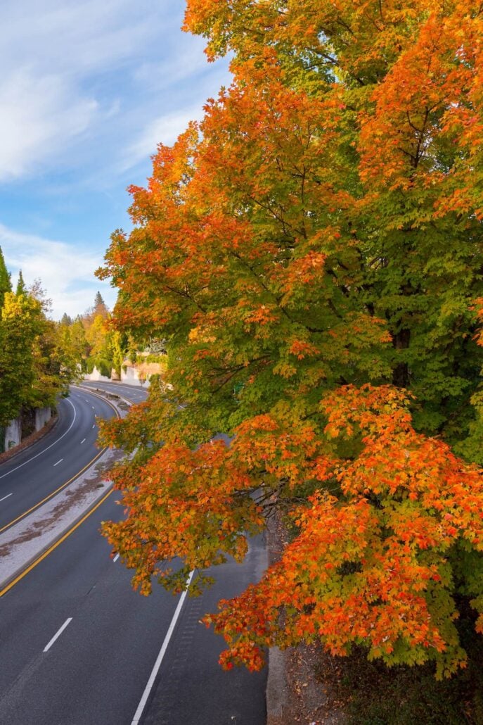 NevadaCity5