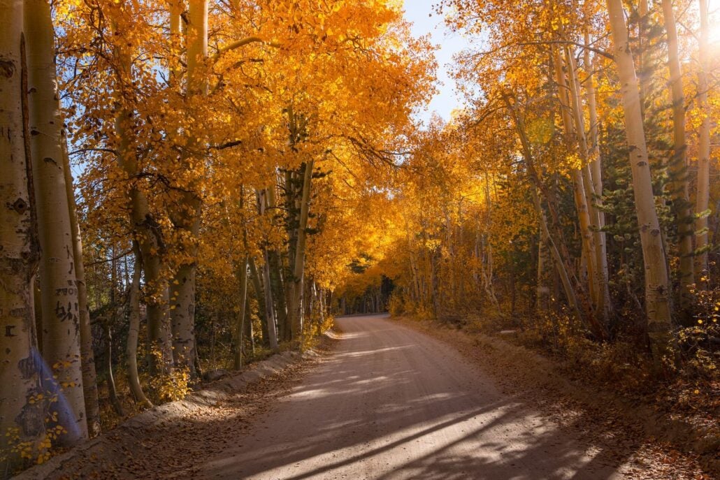 NorthLakeRoad