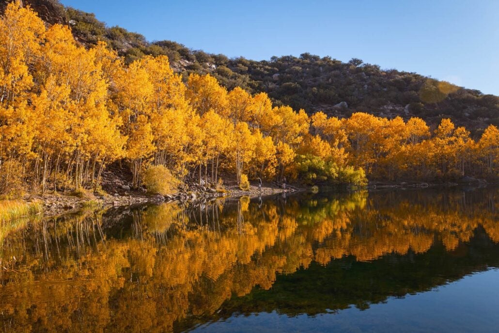 NorthLakeShoreReflection