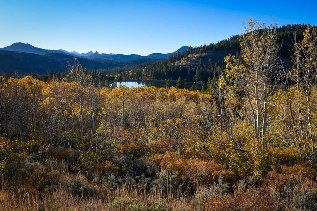 Poimiroo Hope Valley