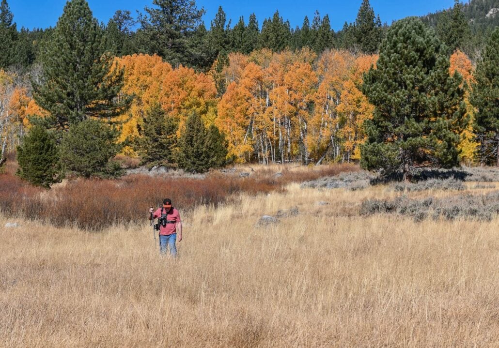 Poimiroo Hope Valley