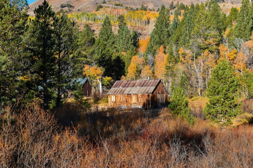 Poimiroo Hope Valley