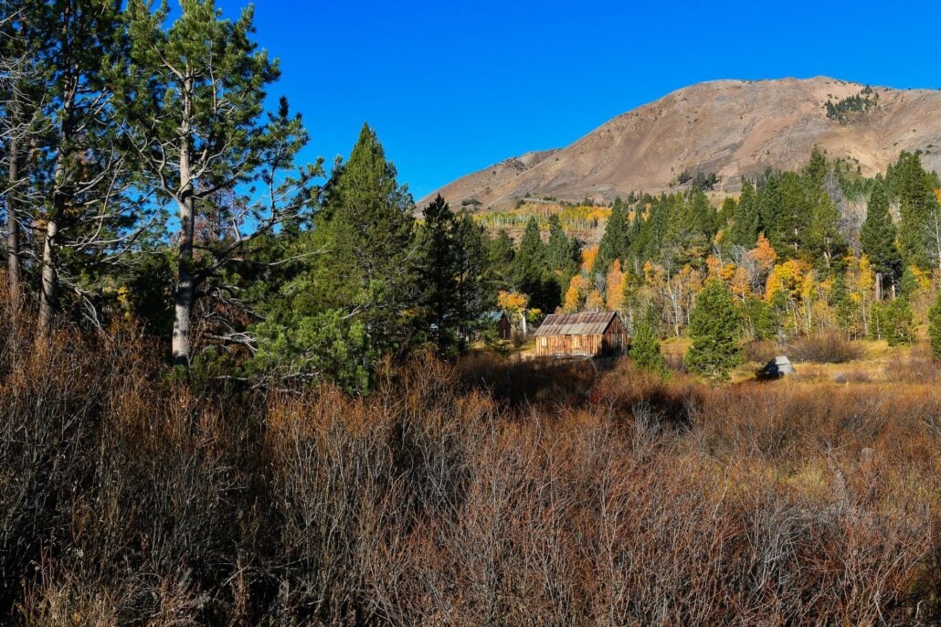 Poimiroo Hope Valley