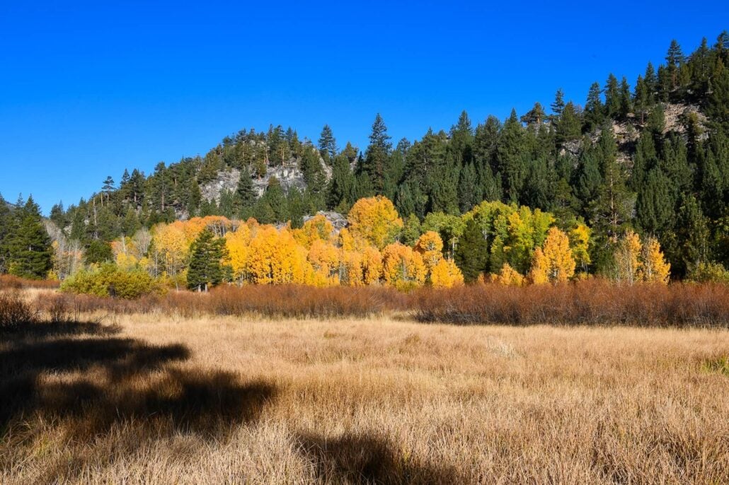 Poimiroo Hope Valley