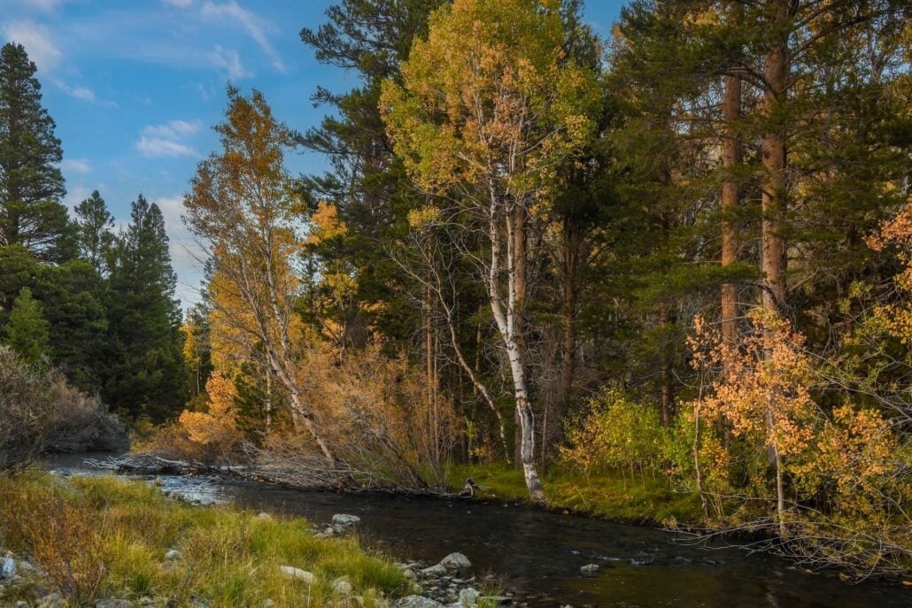 Rush Creek at June Lakes CFC