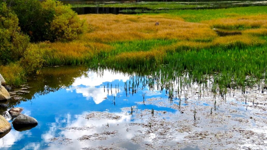 Twin Lakes