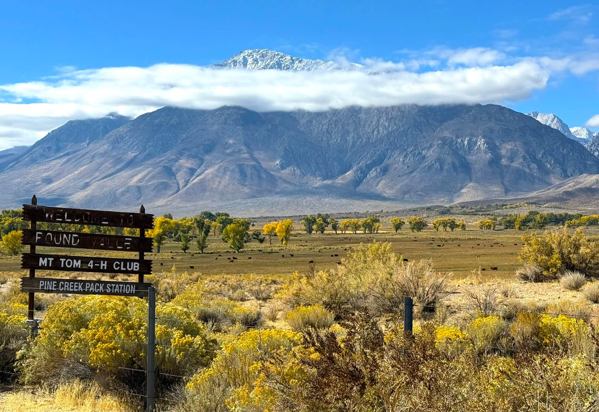 Collor Off Beauty Found in Bishop – California Fall Color
