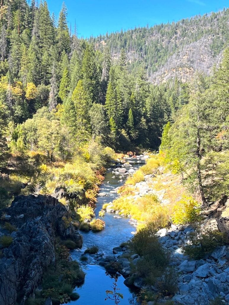 Image2