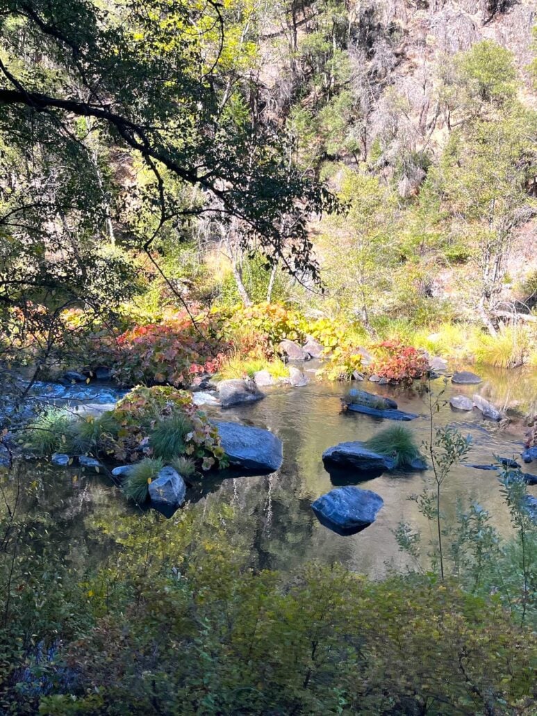 Image4